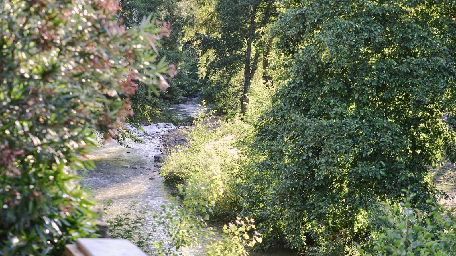 Gites De La Soulondre Lodève Exterior foto
